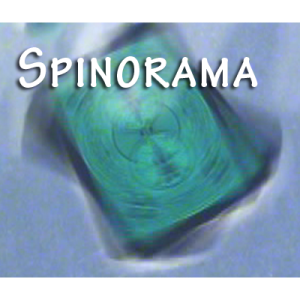 Spinorama by William Lee