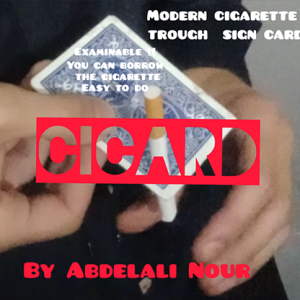 Cicard by Abdelali Nour video DOWNLOAD